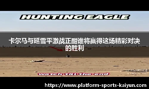 卡尔马与延雪平激战正酣谁将赢得这场精彩对决的胜利